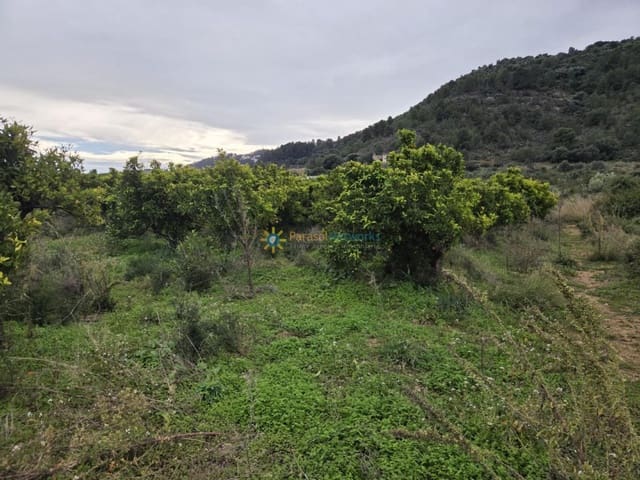 Undeveloped Land for sale in Rafelcofer - € 14,500 (Ref: 9898352)