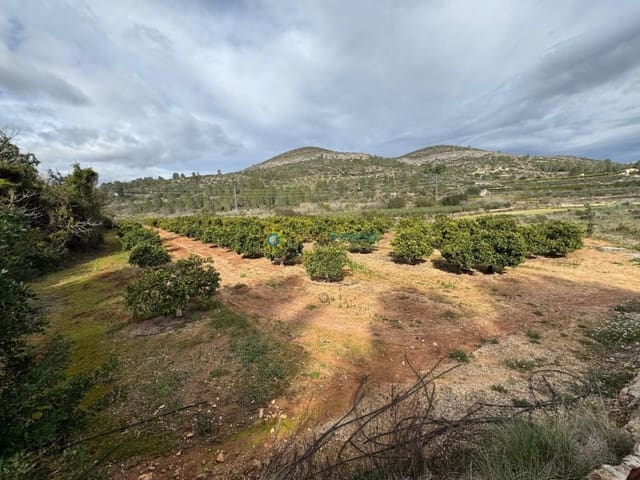 Undeveloped Land for sale in Benigánim - € 29,000 (Ref: 9938978)