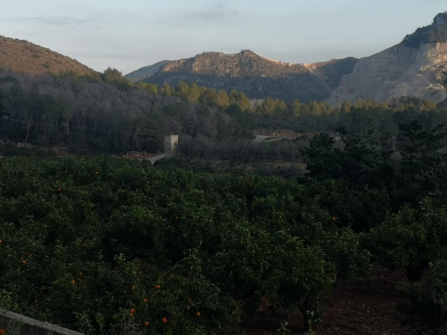 Finca/Casa di Campagna in vendita in L'Atzuvia con piscina - 375.000 € (Rif: 9944839)