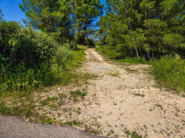 Ubebygd land til salgs i Bellus - € 21 000 (Ref: 9948515)