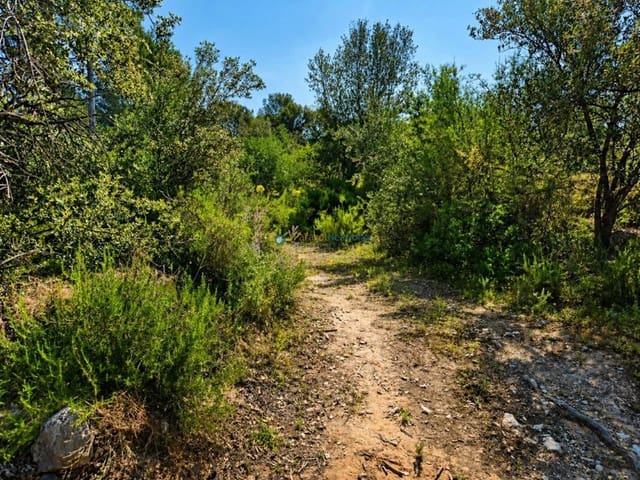 Ubebygd land til salgs i Bellus - € 21 000 (Ref: 9948515)