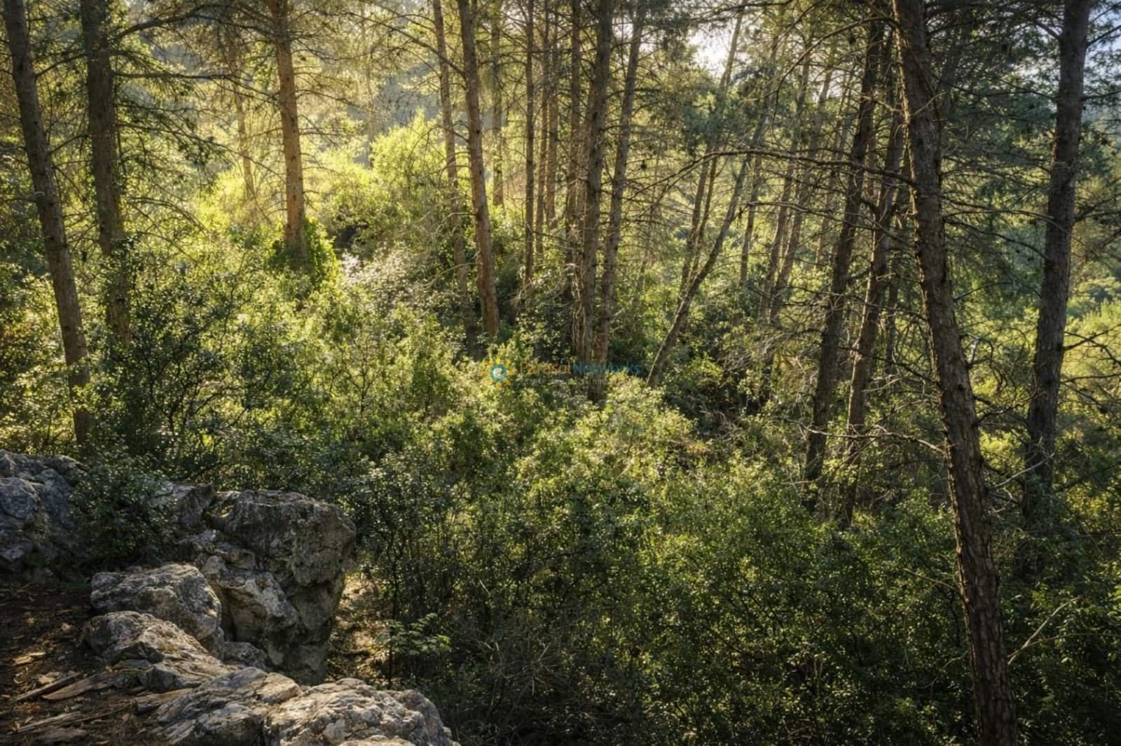 Rakentamaton maa myytävänä paikassa Muro de Alcoy - 150 000 € (Ref: 9953400)