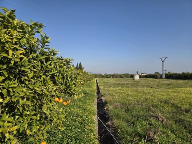 Undeveloped Land for sale in Rafelcofer - € 5,000 (Ref: 9985868)