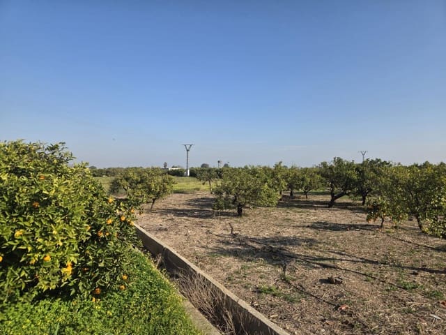 Undeveloped Land for sale in Rafelcofer - € 5,000 (Ref: 9985868)