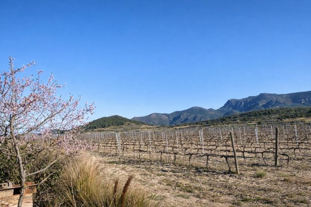 Landgrundstück zu verkaufen in Castelló de Rugat - 199.000 € (Ref: 9986076)
