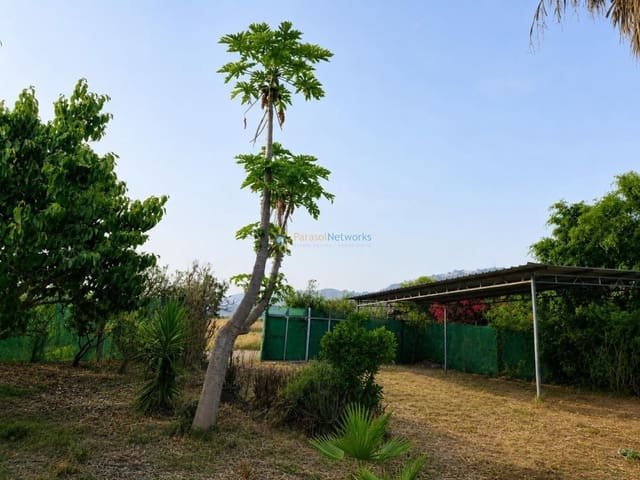 Undeveloped Land for sale in Alqueria de la Comtessa - € 49,000 (Ref: 9989387)