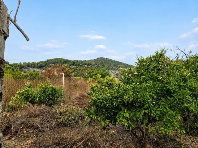 Undeveloped Land for sale in Alqueria de la Comtessa - € 49,000 (Ref: 9989387)