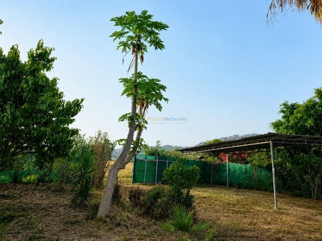 Undeveloped Land for sale in Alqueria de la Comtessa - € 49,000 (Ref: 9989387)