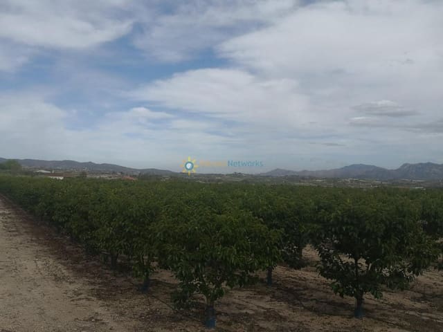 Terreno/Finca Rústica en Benigánim en venta - 88.000 € (Ref: 9990001)