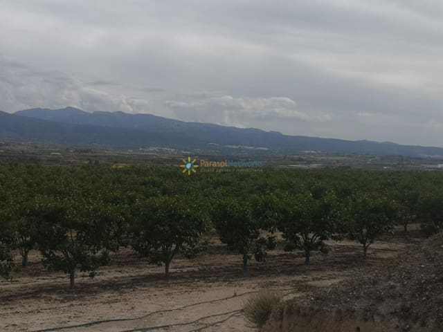 Terreno/Finca Rústica en Benigánim en venta - 88.000 € (Ref: 9990001)