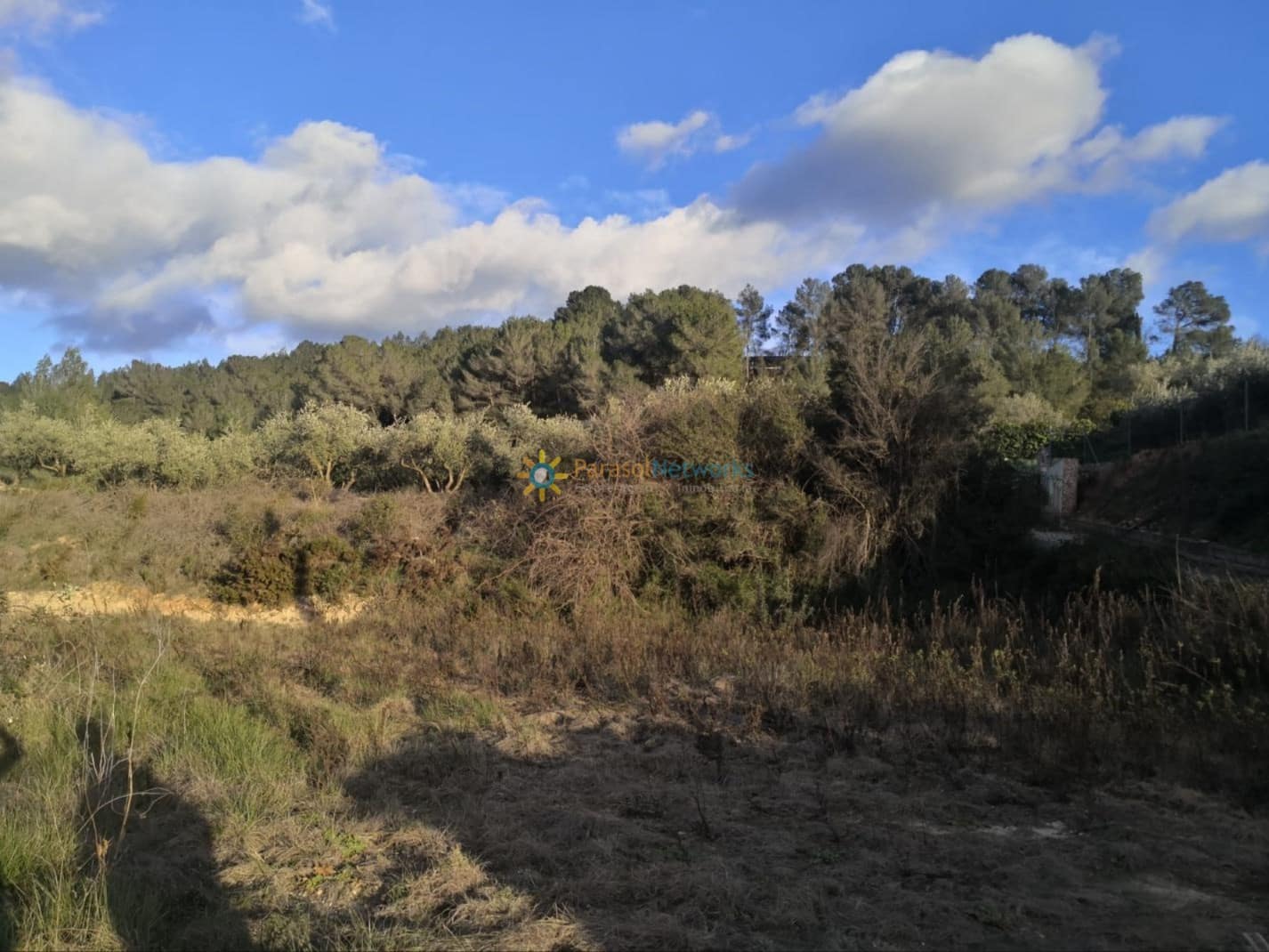 Landgrundstück zu verkaufen in Beniganim - 21.000 € (Ref: 9990919)