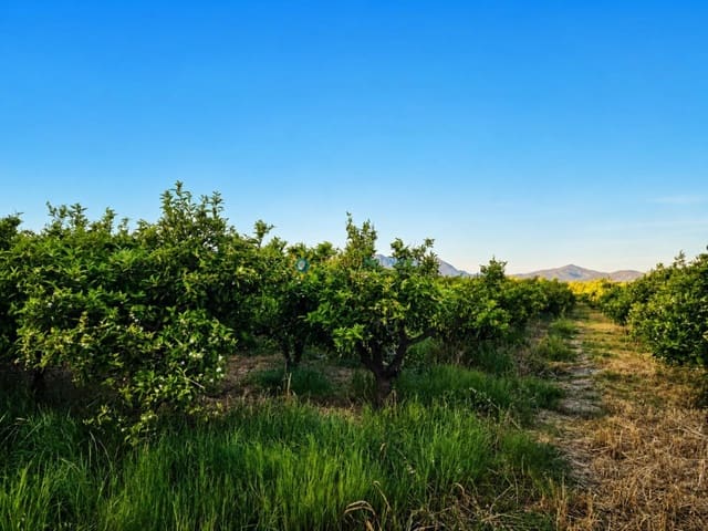 Building Plot for sale in Palmera - € 28,000 (Ref: 9991765)