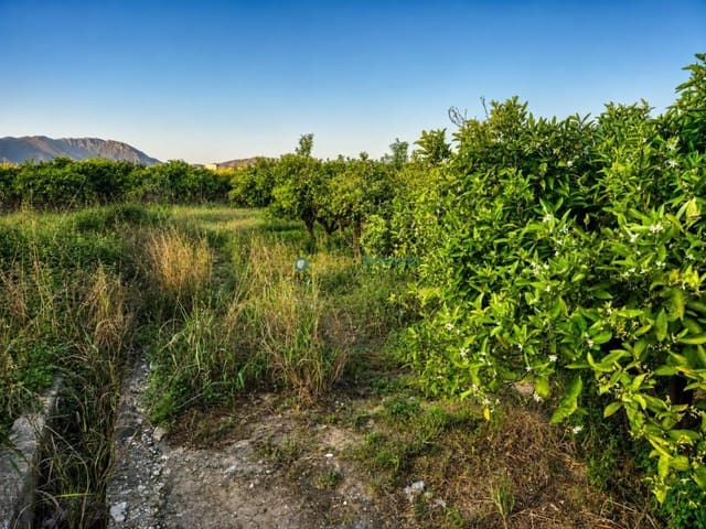 Building Plot for sale in Palmera - € 28,000 (Ref: 9991765)
