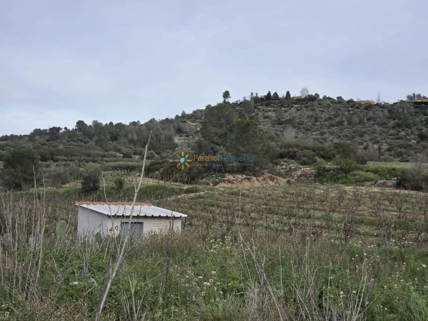Grunde uden byggetilladelser til salg i Beniganim - € 170.000 (Ref: 9993662)