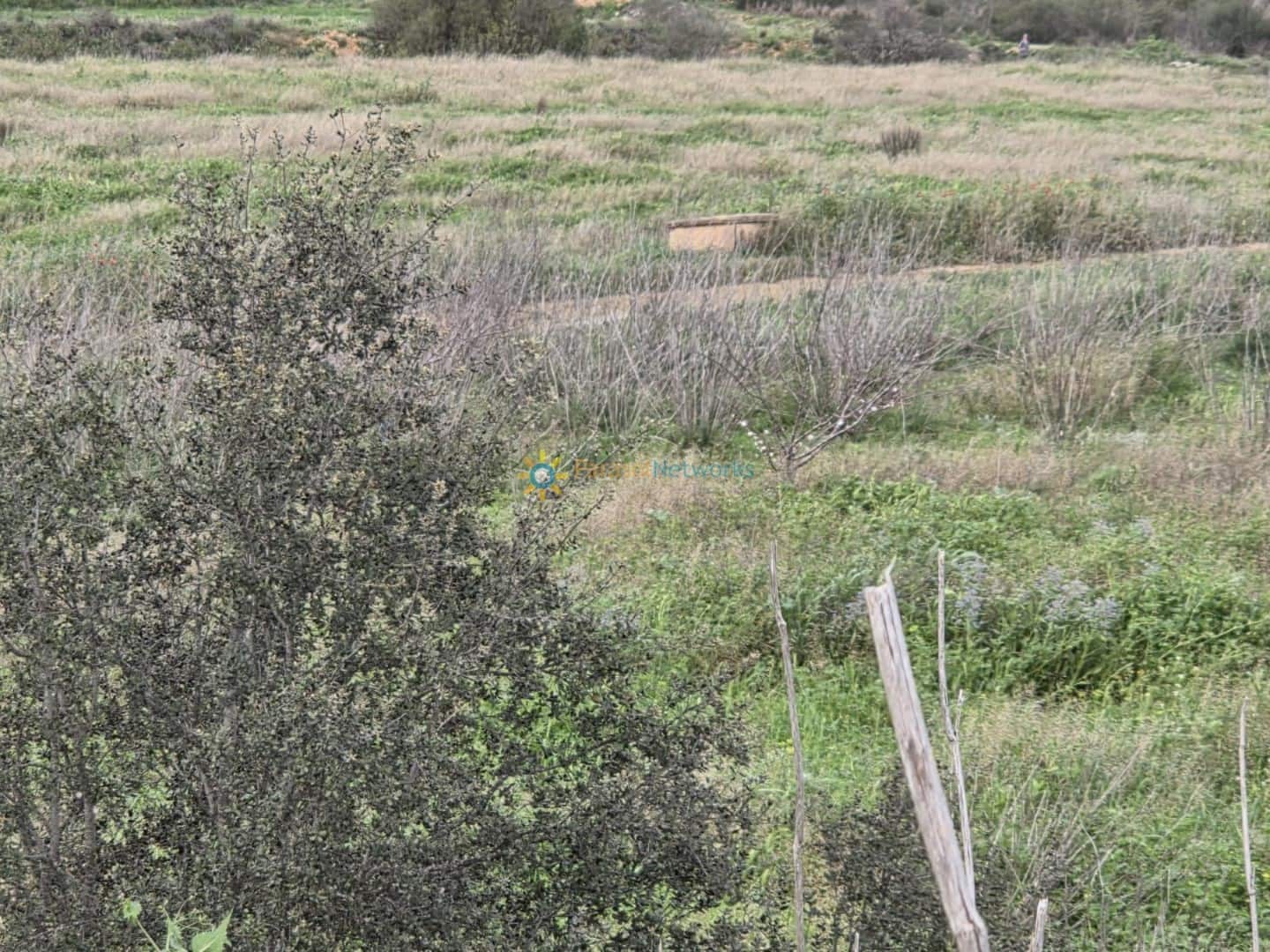 Grunde uden byggetilladelser til salg i Beniganim - € 170.000 (Ref: 9993662)