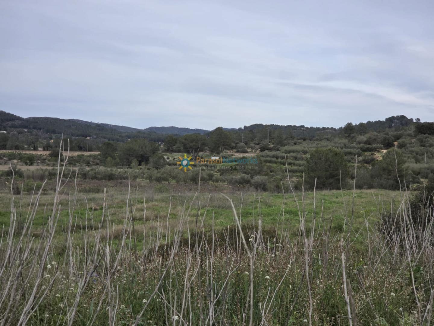 Grunde uden byggetilladelser til salg i Beniganim - € 170.000 (Ref: 9993662)