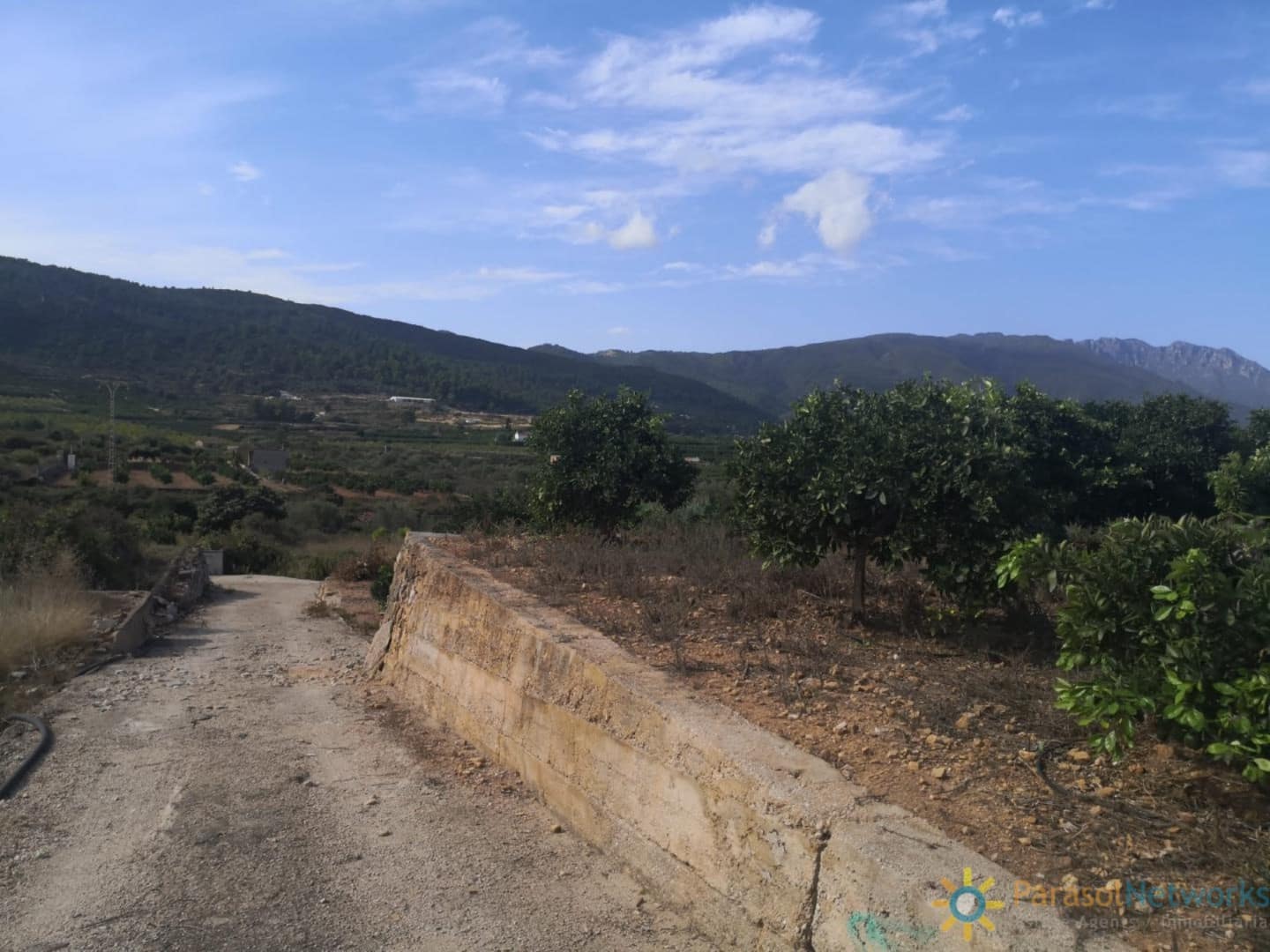 Ubebygd land til salgs i Villalonga - € 60 000 (Ref: 9997780)