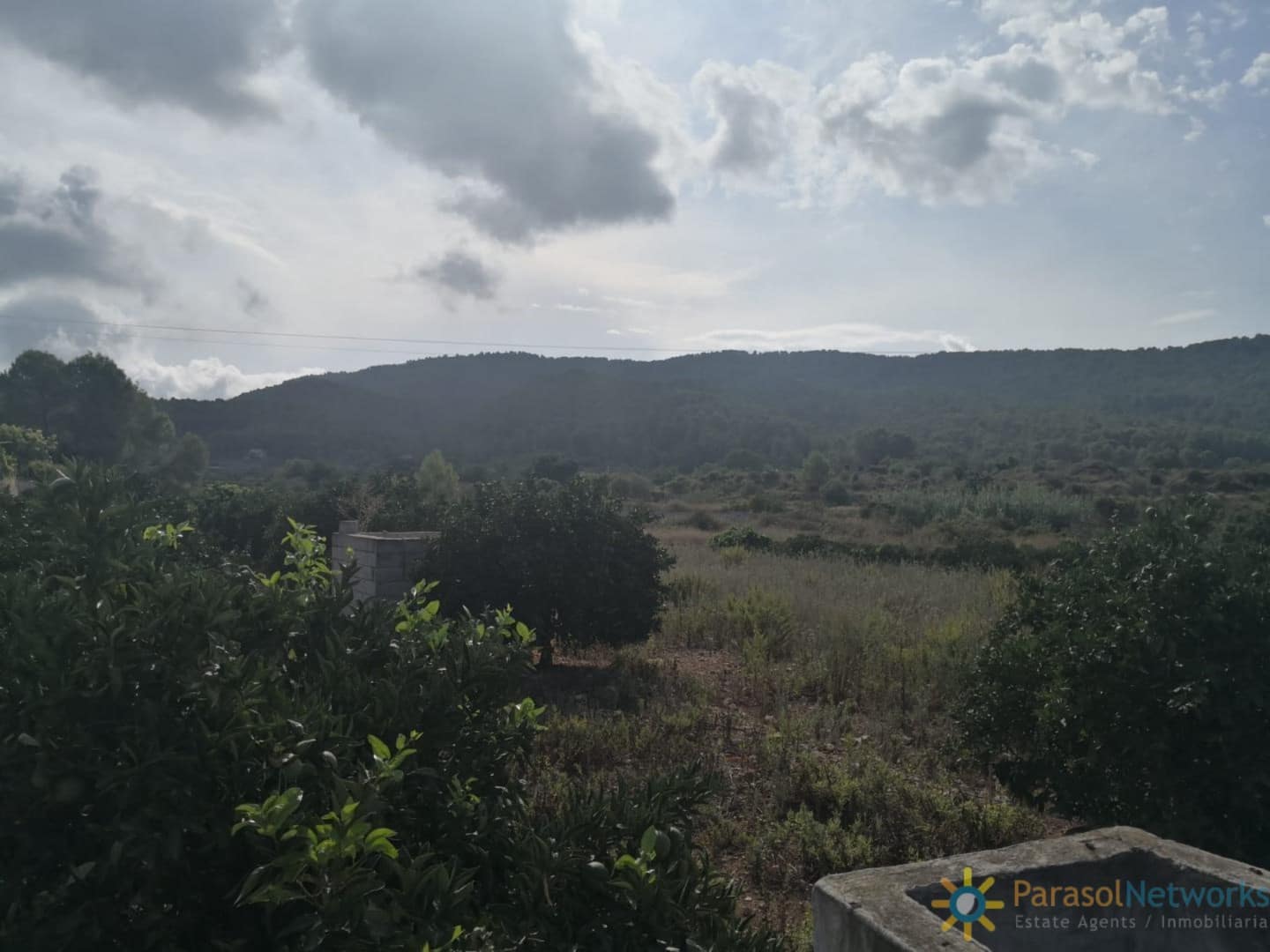 Ubebygd land til salgs i Villalonga - € 60 000 (Ref: 9997780)