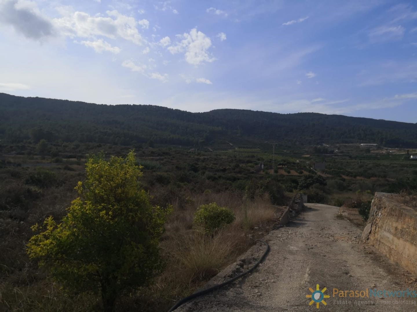 Ubebygd land til salgs i Villalonga - € 60 000 (Ref: 9997780)