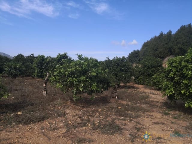 Ubebygd land til salgs i Villalonga - € 60 000 (Ref: 9997780)