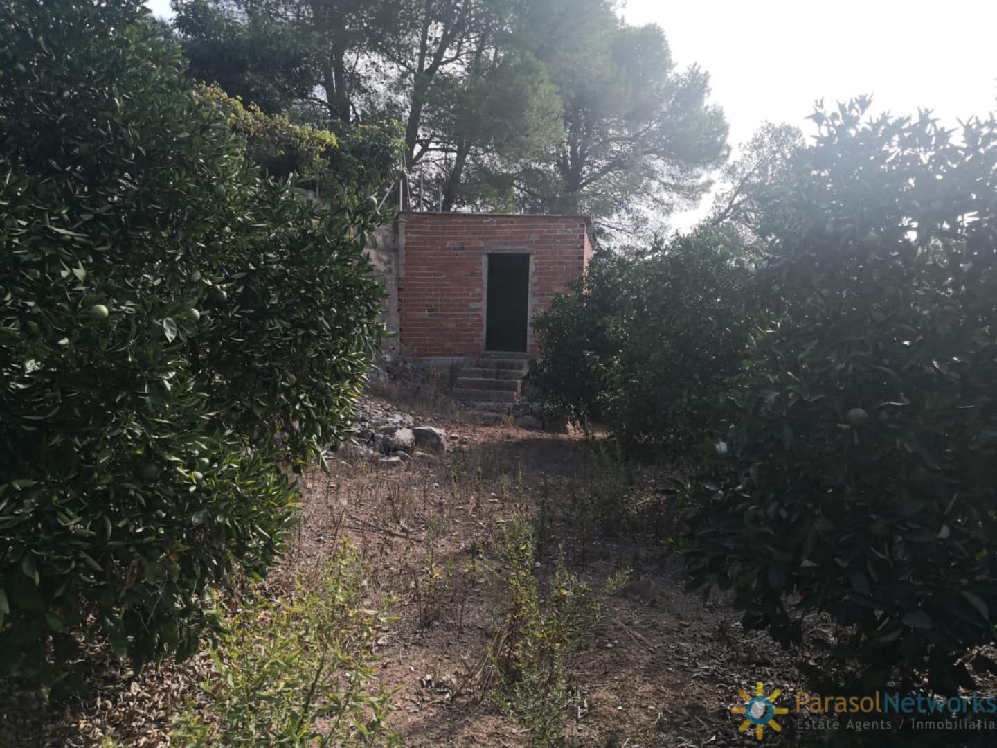 Ubebygd land til salgs i Villalonga - € 60 000 (Ref: 9997780)