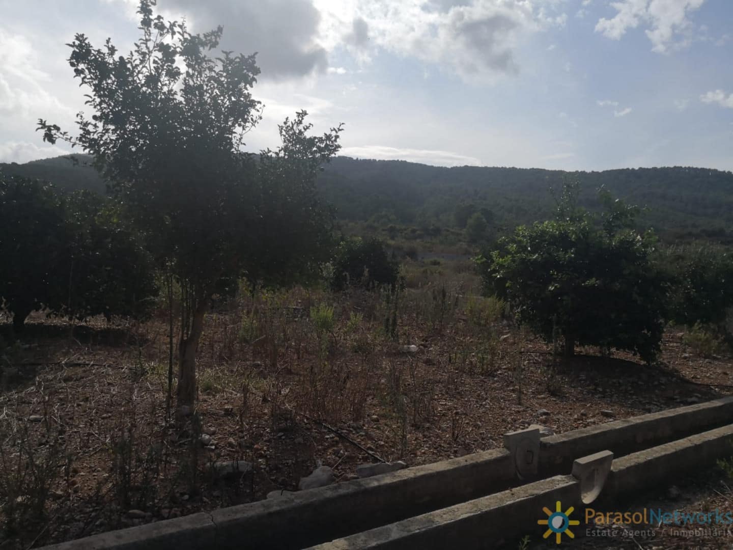 Ubebygd land til salgs i Villalonga - € 60 000 (Ref: 9997780)