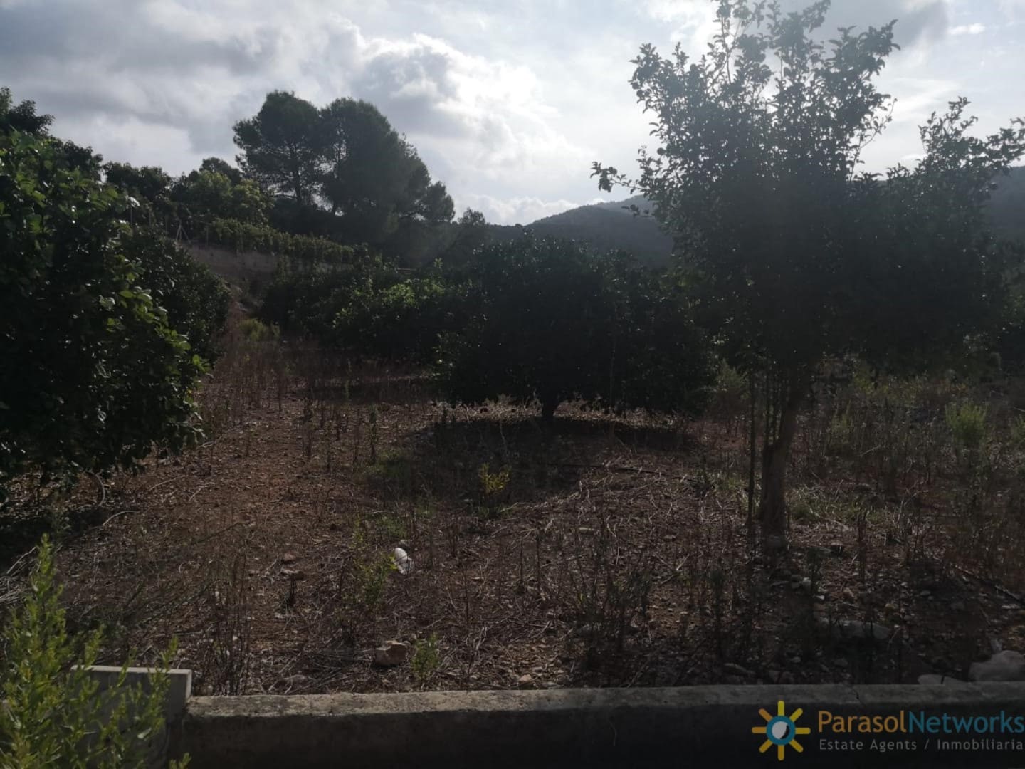 Ubebygd land til salgs i Villalonga - € 60 000 (Ref: 9997780)