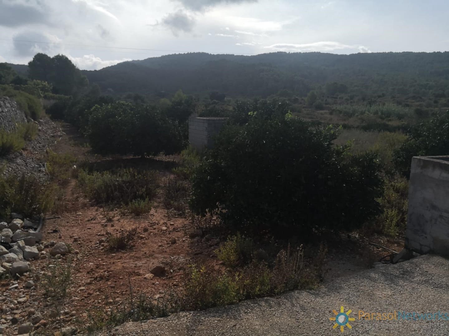 Ubebygd land til salgs i Villalonga - € 60 000 (Ref: 9997780)