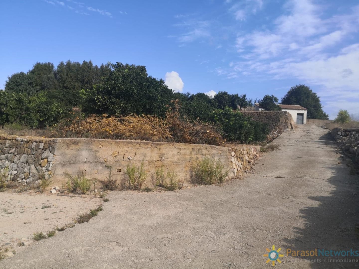 Ubebygd land til salgs i Villalonga - € 60 000 (Ref: 9997780)