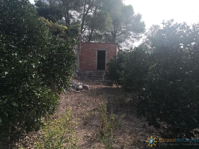 Ubebygd land til salgs i Villalonga - € 60 000 (Ref: 9997780)