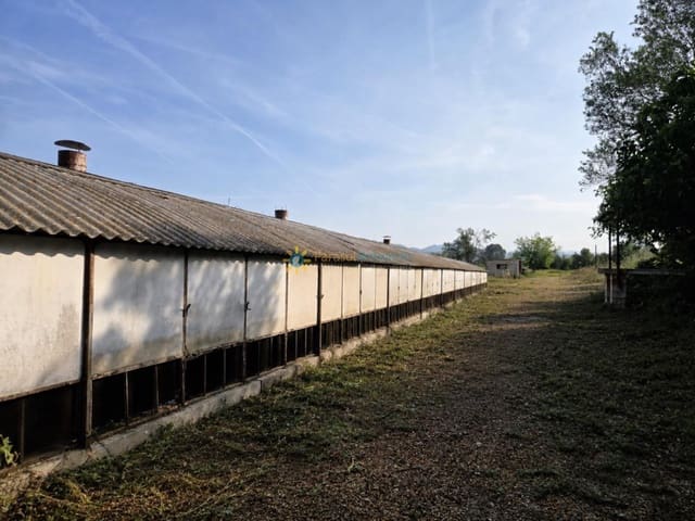 Teren niezagospodarowany na sprzedaż w Benigánim - 67 000 € (Ref: 9999451)