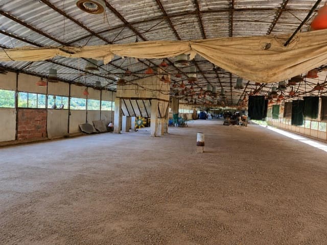 Teren niezagospodarowany na sprzedaż w Benigánim - 67 000 € (Ref: 9999451)