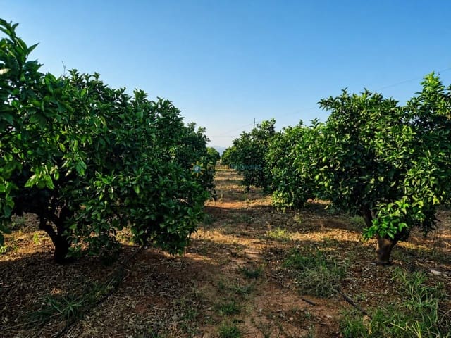 Landgrundstück zu verkaufen in Sellent - 48.000 € (Ref: 9999486)