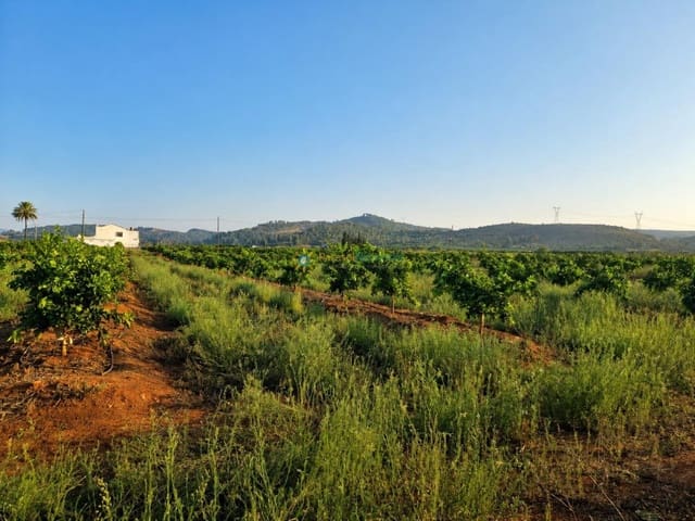 Landgrundstück zu verkaufen in Sellent - 48.000 € (Ref: 9999486)