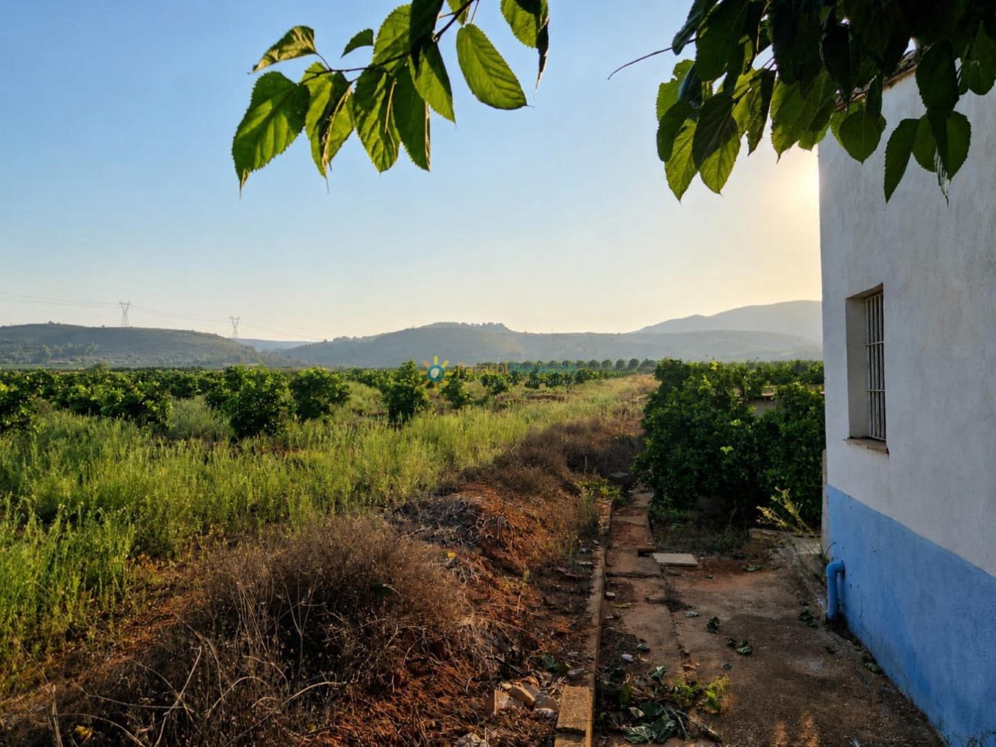 Landgrundstück zu verkaufen in Sellent - 48.000 € (Ref: 9999486)