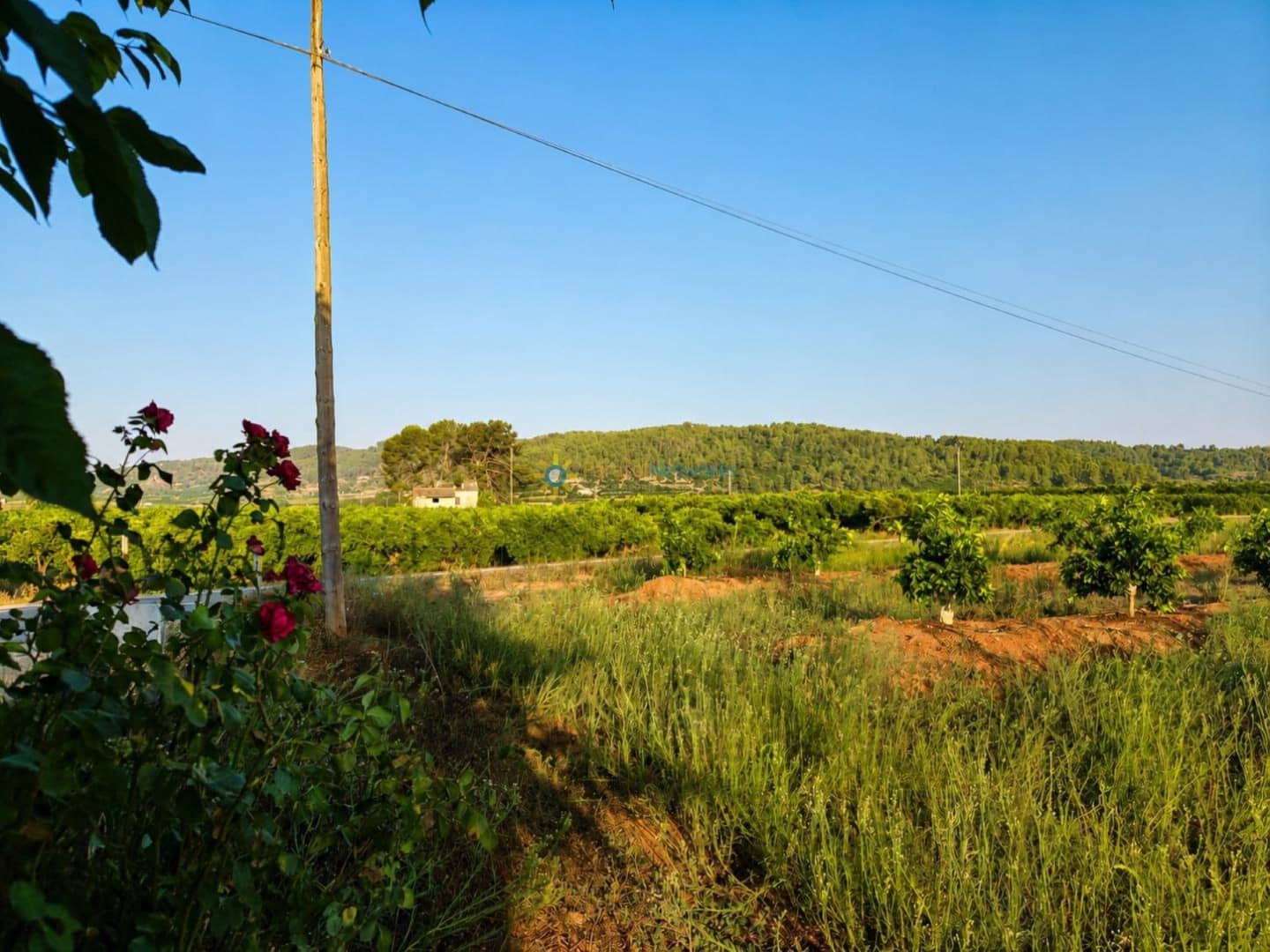 Landgrundstück zu verkaufen in Sellent - 48.000 € (Ref: 9999486)