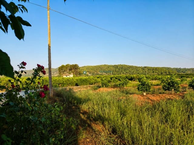 Landgrundstück zu verkaufen in Sellent - 48.000 € (Ref: 9999486)