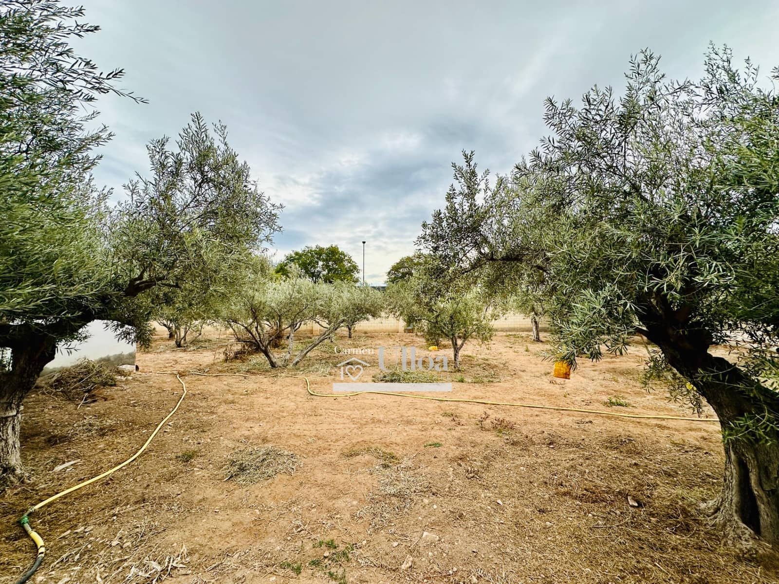 8 bedroom Finca/Country House for sale in San Vicente / Sant Vicent del Raspeig with pool garage - € 1,100,000 (Ref: 8109973)