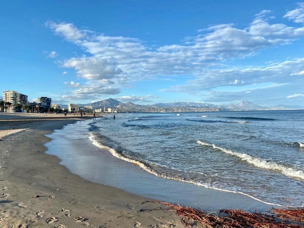 4 soverom Leilighet til salgs i Alicante by - € 565 000 (Ref: 8474054)