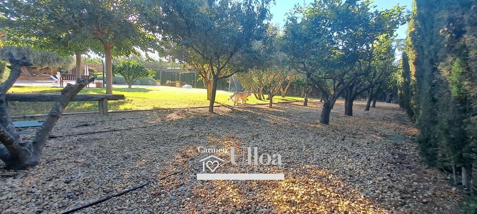 3 bedroom Villa for sale in Muchamiel / Mutxamel with pool garage - € 660,000 (Ref: 8591100)