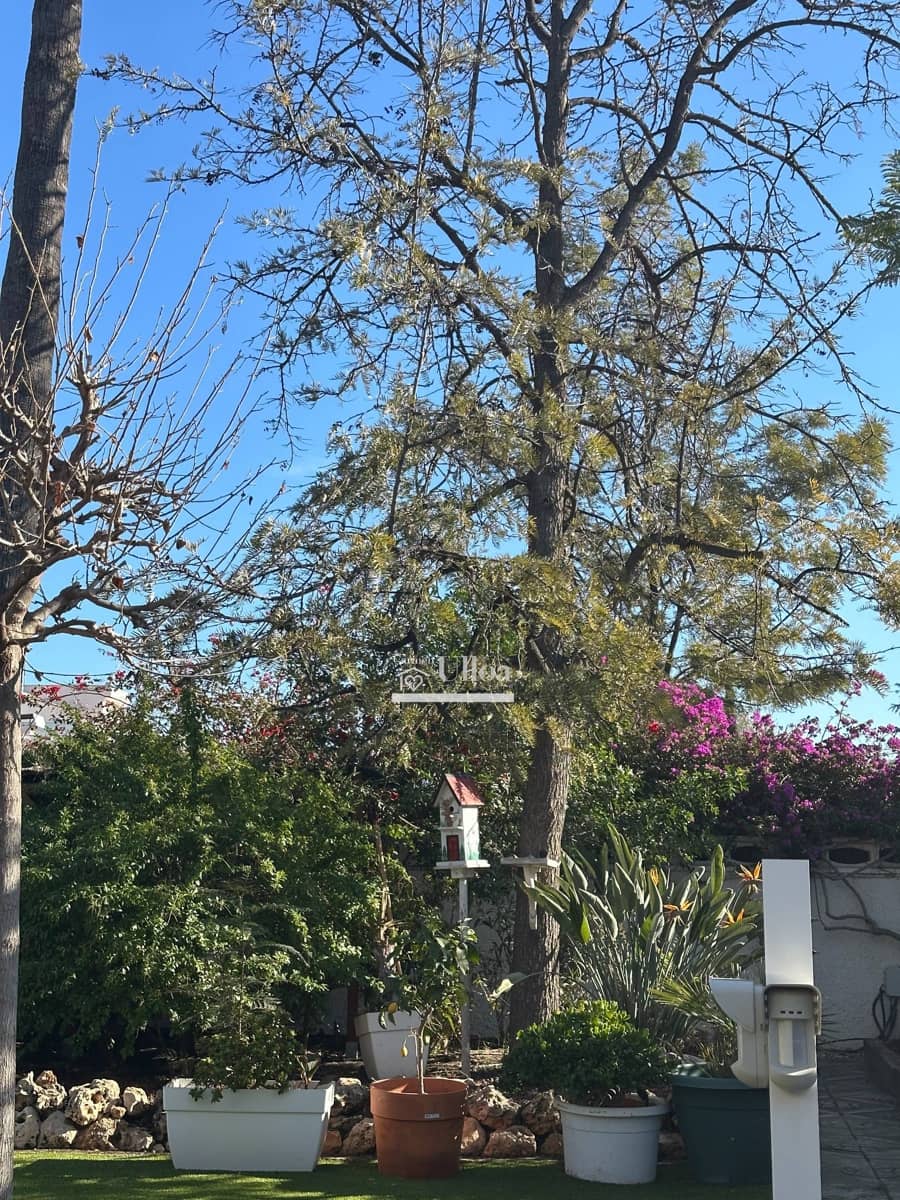 3 soveværelse Villa til salg i La Font med swimmingpool garage - € 750.000 (Ref: 8676009)