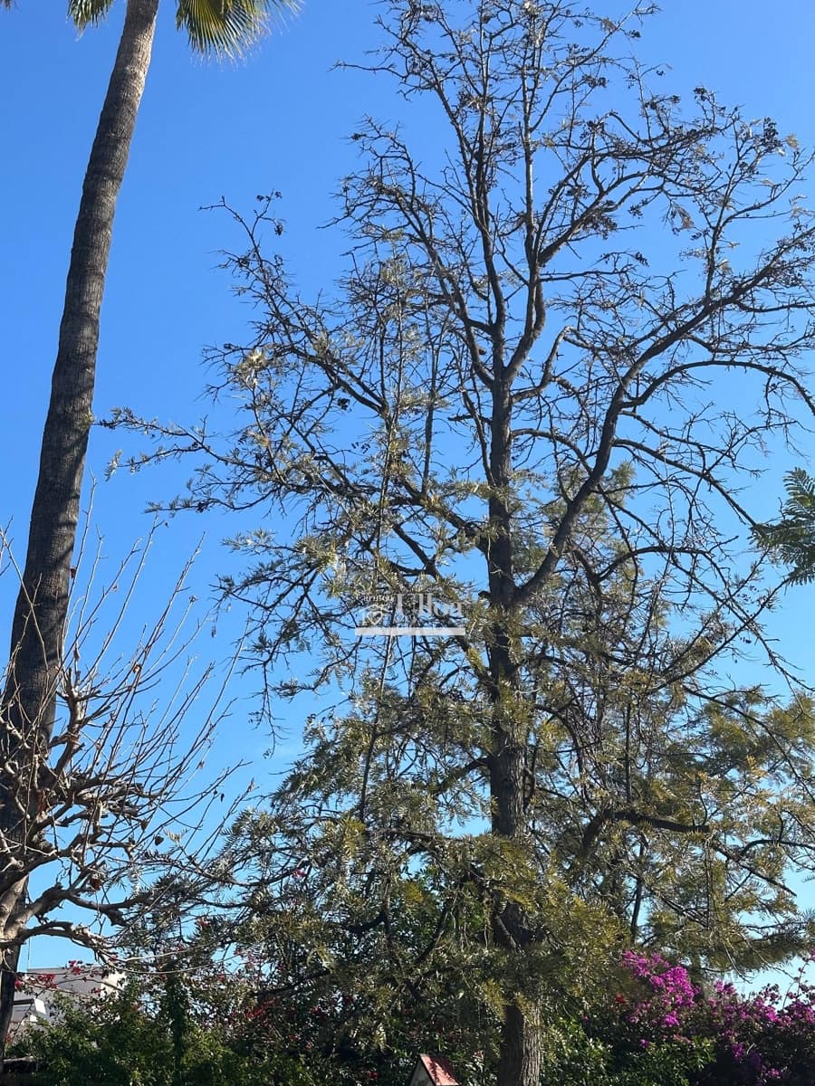 3 Zimmer Villa zu verkaufen in La Font mit Pool Garage - 750.000 € (Ref: 8676009)