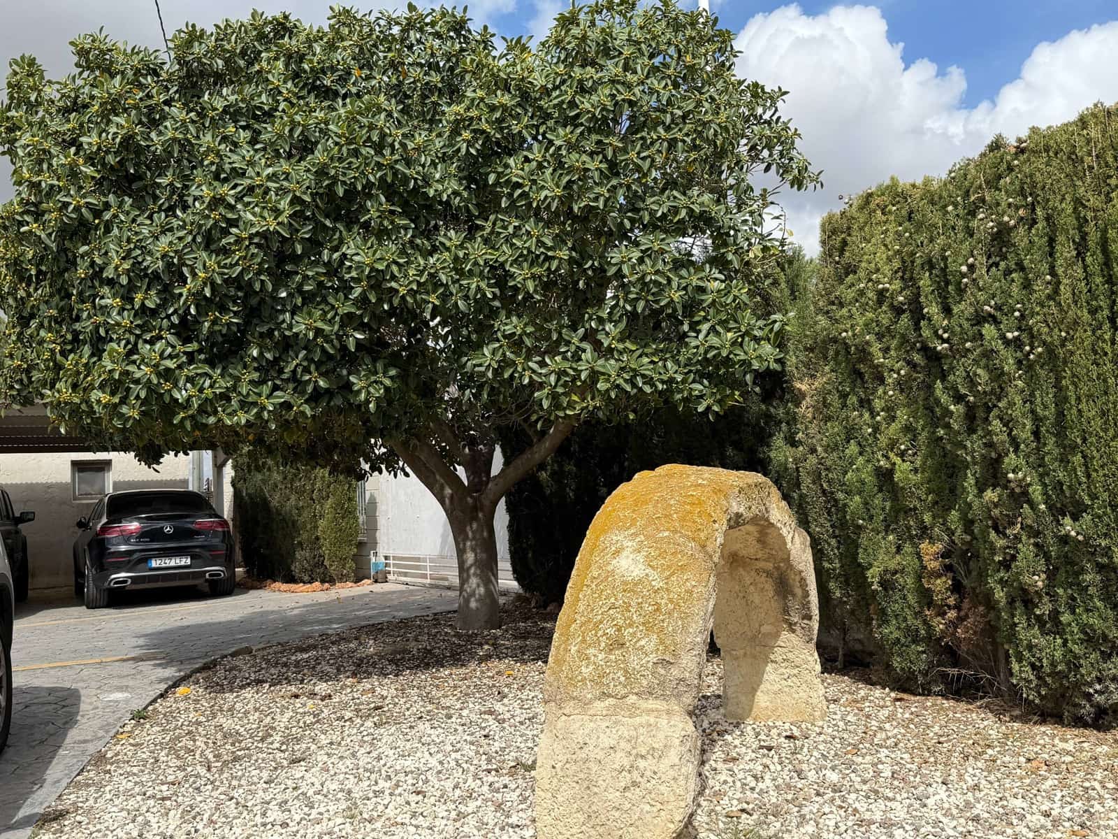 4 slaapkamer Villa te koop in Elche / Elx met zwembad garage - € 750.000 (Ref: 8960256)