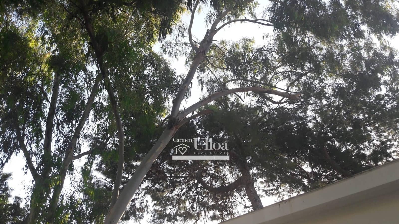 Chalet de 2 habitaciones en Alicante / Alacant ciudad en venta con piscina garaje - 624.000 € (Ref: 8970586)