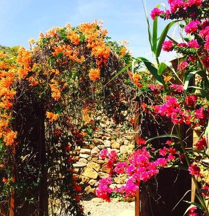 14 chambre Finca/Maison de Campagne à vendre à Pizarra avec piscine - 1 150 000 € (Ref: 9699165)