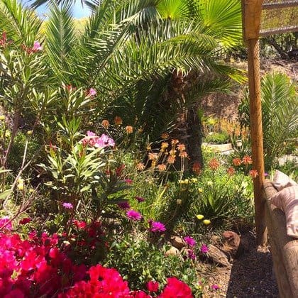 14 chambre Finca/Maison de Campagne à vendre à Pizarra avec piscine - 1 150 000 € (Ref: 9699165)