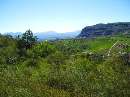 14 chambre Finca/Maison de Campagne à vendre à Pizarra avec piscine - 1 150 000 € (Ref: 9699165)