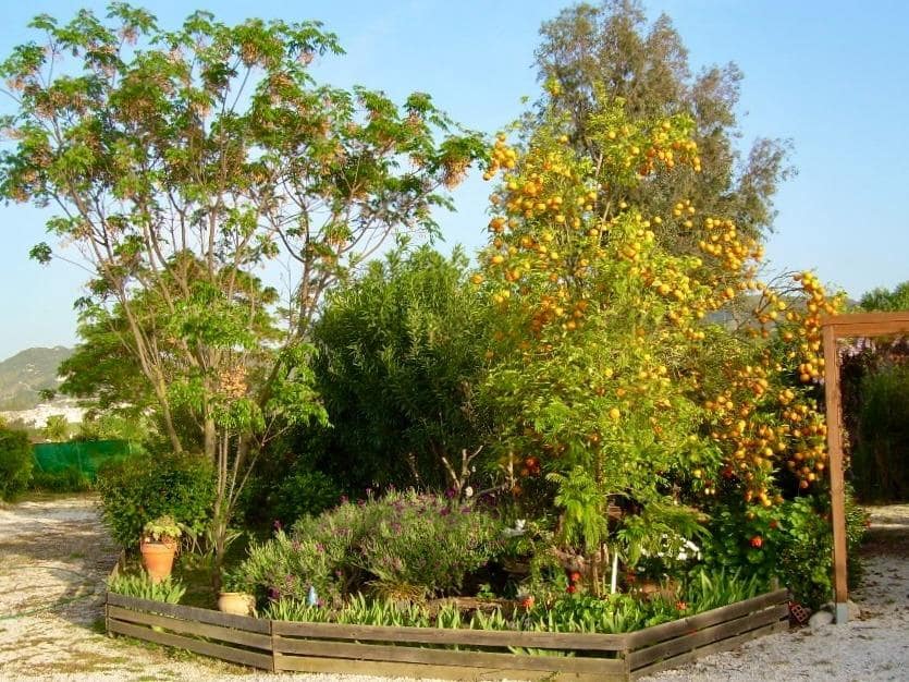 5 bedroom Finca/Country House for sale in Cartama with pool - € 495,000 (Ref: 9735605)