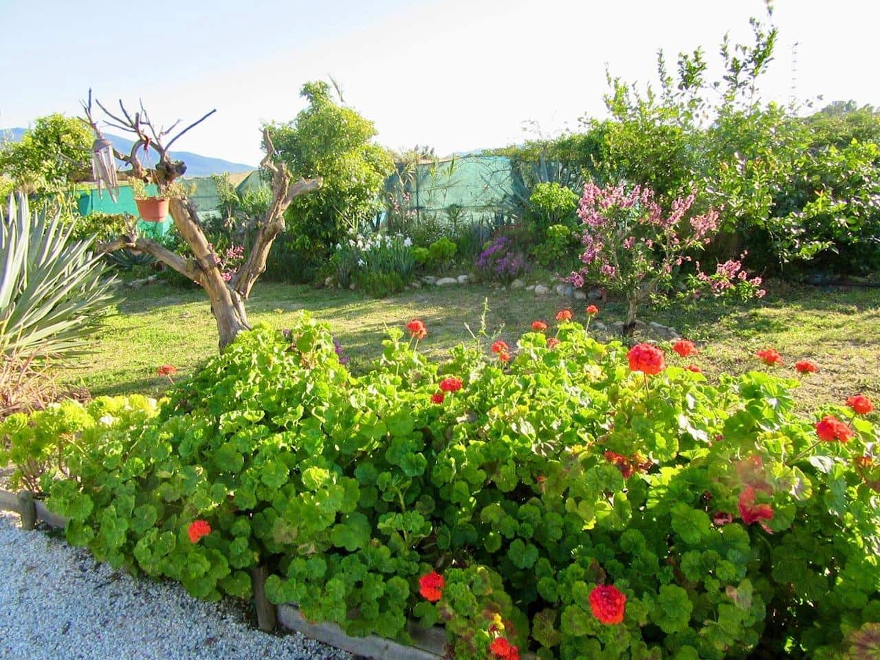 5 bedroom Finca/Country House for sale in Cartama with pool - € 495,000 (Ref: 9735605)