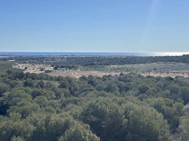 2 quarto Casa em Banda para venda em San Miguel de Salinas com piscina garagem - 329 900 € (Ref: 9787500)